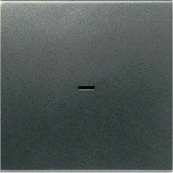 Rabatt ???? HAGER Kallysto Kontrollwippe Ohne Aufdruck Anthrazit ????