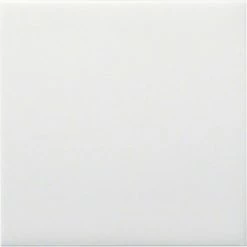 Aktion ???? Hager TASTSENSORFLÄCHE BRILLANTWS. (WYC810 F. KALLYSTO) ????